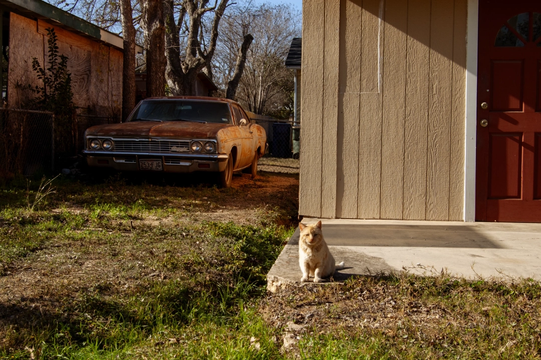 A cat sitting in front of an old car.